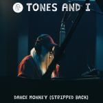 album image Dance Monkey Dance Monkey (Stripped Back) - Single