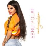 album image Anlayacaksın Anlayacaksın - Single