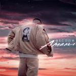 album image Амали Амали - Single