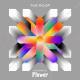 THE ROOP - On Fire