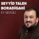 Seyyid Taleh Boradigahi - Allahin hebibi