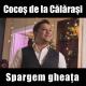 Cocos de la Calarasi - Te iubesc