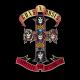 Guns N' Roses - Welcome To The Jungle