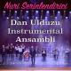 Nuri Serinlendirici - Sirin Dil