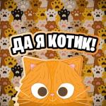 album image Бездомный Кот Да Я Котик