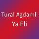 Tural Ağdamlı - Ya Eli