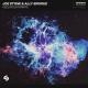 Joe Stone, Ally Brooke - Feeling Dynamite