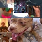 album image Infrunami The Lo-Fis