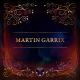 Martin Garrix pres. Ytram - Alive (feat. Citadelle)