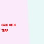 album image Halil Halid (Original Soundtrack)