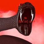 album image NEONI - Notorious【GMV】 Notorious - Single