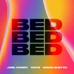 album image BED BED - Single