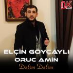 album image Elcin Goycayli & Oruc Amin - Delim Delim 2021 Dəlim Dəlim (feat. Oruc Amin) - Single