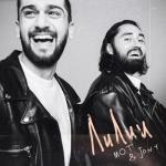 album image Будь моим огнем или водопадом (Muzku.net) Лилии - Single