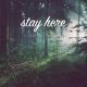 LiQWYD & Carl Storm - Stay here