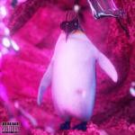 album image ТЫ ТУПАЯ ИЛИ ГЛУПЫЙ ТЫ ТУПАЯ ИЛИ ГЛУПЫЙ - Single