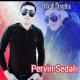 Pervin Sedalı - Qemli Üreyim