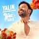 Yalın - Yaz Gülü