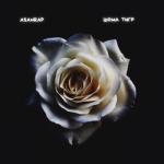 album image ты чё дура плачешь? Шома тигр - Single