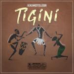 album image tigini ( slowed + reverb ) Tigini - Single
