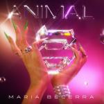 album image Wow Wow Animal