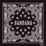 album image Dirrt BANDANA I