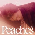 album image Domino Peaches - The 2nd Mini Album - EP