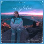 album image Cok Ozledim (BRB) Çok Özledim - Single