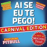 album image Ai Se Eu Te Pego ( Dj Pasha Life mush up 2012)