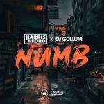 album image Numb Numb - Single