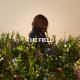 Kristene DiMarco - Decided