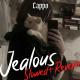 Eyedress - Jealous (nightcore)