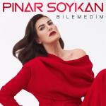 album image Bilemedim Bilemedim - Single