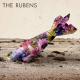 The Rubens - I'll Surely Die