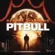 Pitbull feat. The Wanted, Afrojack - Have Some Fun