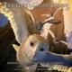 David Hirschfelder - Into Battle (OST Legend of the Guardians: The Owls of Ga’Hoole)