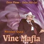 album image Nicolae Guta - Noi bem, spargem pahare Vine Mafia