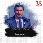 album image Hardasan 2020 Hardasan (feat. Zeynəb Həsəni) - Single