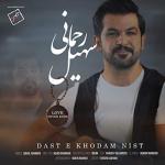 album image Daste Khudam Nist Daste Khodam Nist - Single