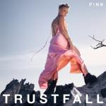 album image Never Gonna Not Dance Again (02.01.2023) TRUSTFALL