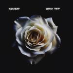 album image вот как то так но никак иначе Шома тигр - Single