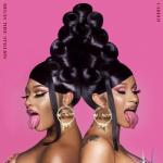 album image WAP (echo) WAP (feat. Megan Thee Stallion) - Single