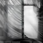 album image Sen Varsın Diye Sen Varsın Diye - Single
