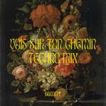 album image Vois Sur Ton Chemin (Extended Techno Mix) Vois sur ton chemin (Techno Mix)