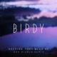 Birdy - Keeping Your Head Up (Don Diablo Remix; Radio Edit)