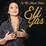 album image Tu Me Haces Volar 2011 (bachata) Tú Me Haces Volar - Single