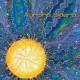 Celestial Intelligence - Inevitable Feelings