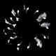 Losless, ARTBAT, KAS:ST - Pull Out (Original Mix)