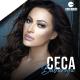 Ceca - Babaroga (1991)