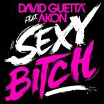 poster sexy bith 2010 Sexy Bitch
